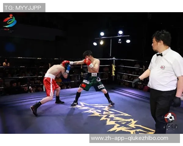 大卫海耶与波维特金巅峰对决谁能称霸拳坛历史之战解析